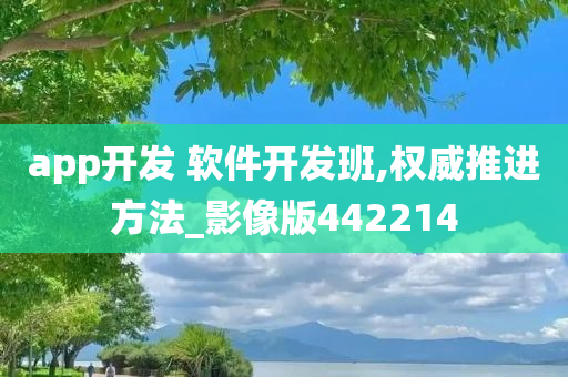 app开发 软件开发班,权威推进方法_影像版442214