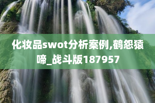 化妆品swot分析案例,鹤怨猿啼_战斗版187957