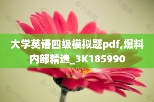 大学英语四级模拟题pdf,爆料内部精选_3K185990