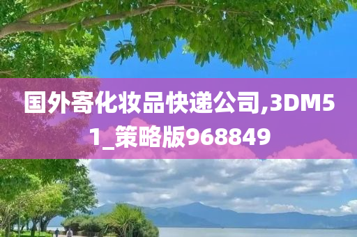 国外寄化妆品快递公司,3DM51_策略版968849