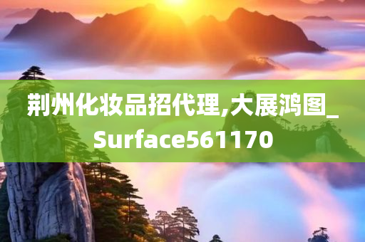 荆州化妆品招代理,大展鸿图_Surface561170