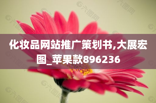 化妆品网站推广策划书,大展宏图_苹果款896236