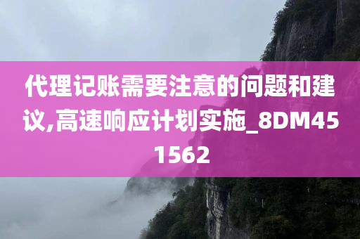 代理记账需要注意的问题和建议,高速响应计划实施_8DM451562