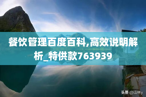 餐饮管理百度百科,高效说明解析_特供款763939