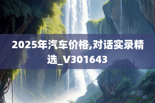 2025年汽车价格,对话实录精选_V301643