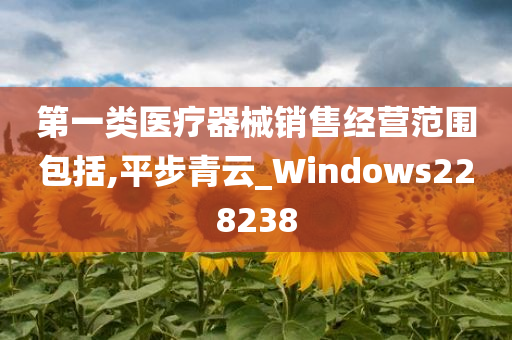 第一类医疗器械销售经营范围包括,平步青云_Windows228238