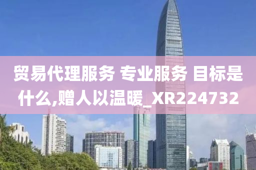 贸易代理服务 专业服务 目标是什么,赠人以温暖_XR224732