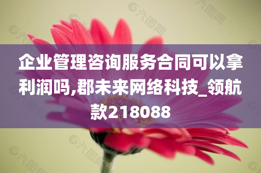 企业管理咨询服务合同可以拿利润吗,郡未来网络科技_领航款218088