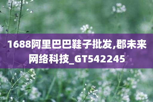 1688阿里巴巴鞋子批发,郡未来网络科技_GT542245