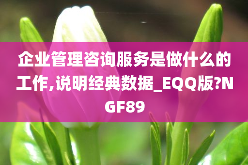 企业管理咨询服务是做什么的工作,说明经典数据_EQQ版?NGF89