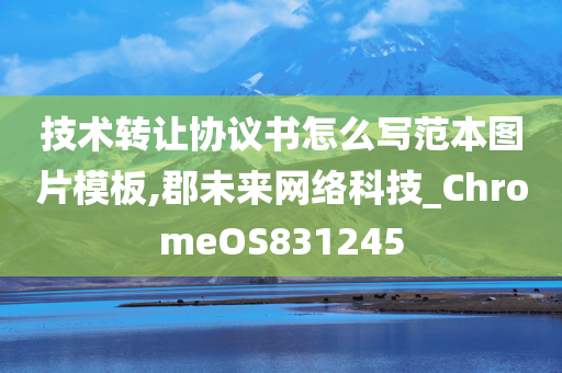 技术转让协议书怎么写范本图片模板,郡未来网络科技_ChromeOS831245