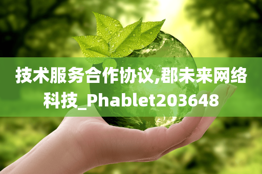 技术服务合作协议,郡未来网络科技_Phablet203648