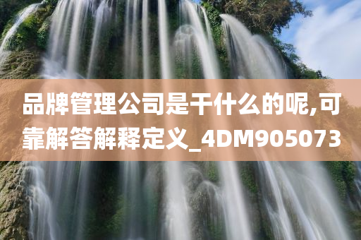 品牌管理公司是干什么的呢,可靠解答解释定义_4DM905073