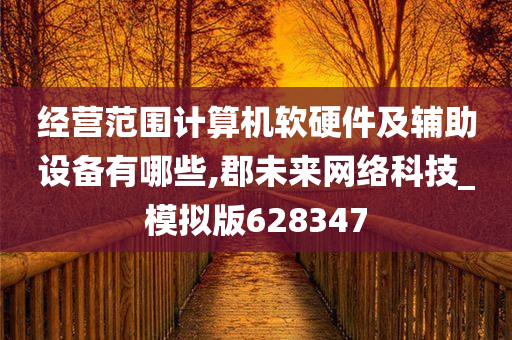 经营范围计算机软硬件及辅助设备有哪些,郡未来网络科技_模拟版628347