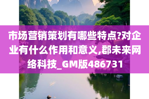 市场营销策划有哪些特点?对企业有什么作用和意义,郡未来网络科技_GM版486731