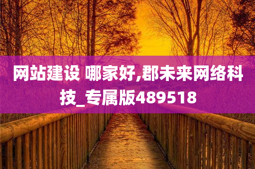 网站建设 哪家好,郡未来网络科技_专属版489518