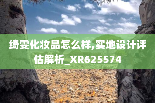 绮雯化妆品怎么样,实地设计评估解析_XR625574