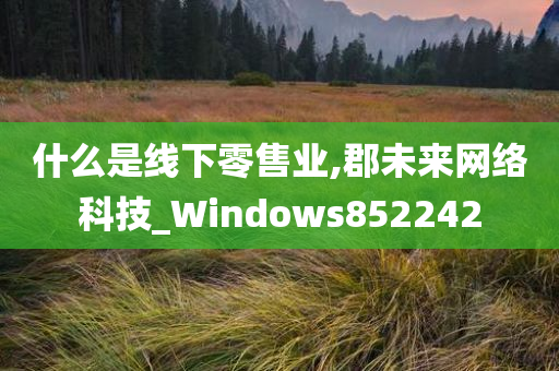 什么是线下零售业,郡未来网络科技_Windows852242