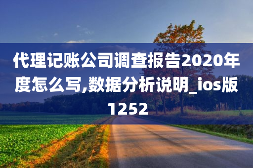 代理记账公司调查报告2020年度怎么写,数据分析说明_ios版1252