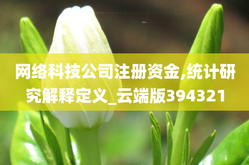 网络科技公司注册资金,统计研究解释定义_云端版394321