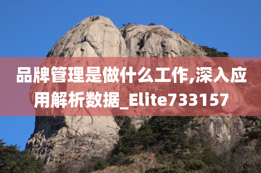 品牌管理是做什么工作,深入应用解析数据_Elite733157