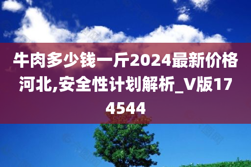 牛肉多少钱一斤2024最新价格河北,安全性计划解析_V版174544