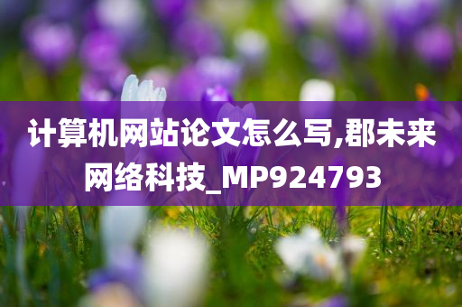 计算机网站论文怎么写,郡未来网络科技_MP924793