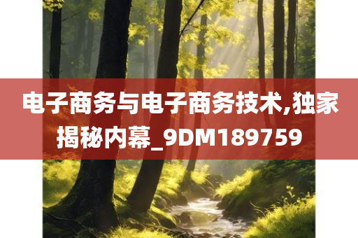 电子商务与电子商务技术,独家揭秘内幕_9DM189759