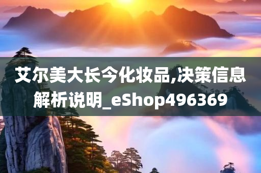 艾尔美大长今化妆品,决策信息解析说明_eShop496369