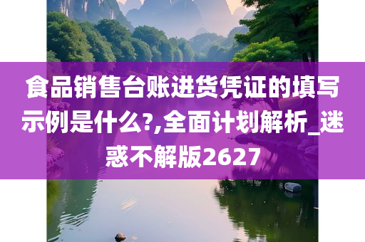 食品销售台账进货凭证的填写示例是什么?,全面计划解析_迷惑不解版2627