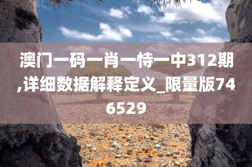 澳门一码一肖一恃一中312期,详细数据解释定义_限量版746529