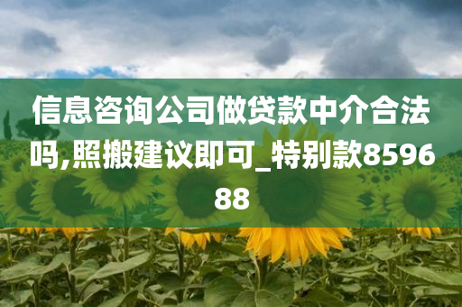 信息咨询公司做贷款中介合法吗,照搬建议即可_特别款859688