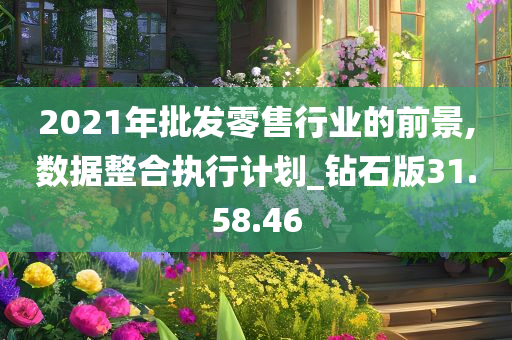 2021年批发零售行业的前景,数据整合执行计划_钻石版31.58.46