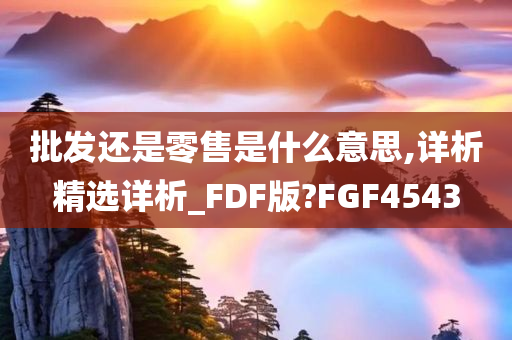 批发还是零售是什么意思,详析精选详析_FDF版?FGF4543