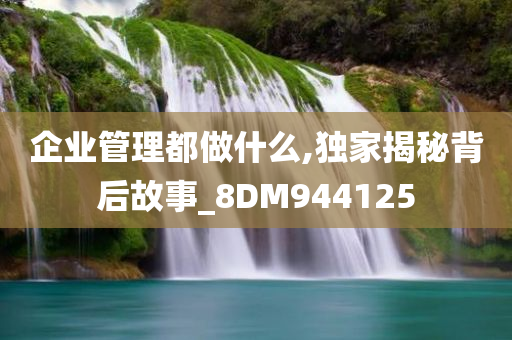 企业管理都做什么,独家揭秘背后故事_8DM944125