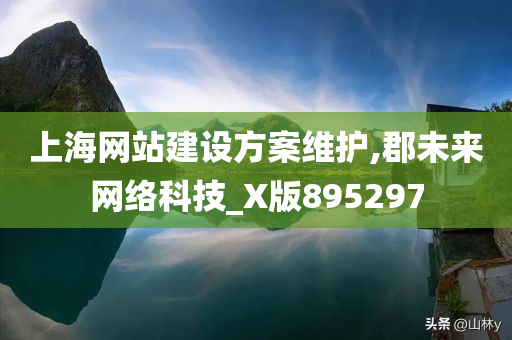 上海网站建设方案维护,郡未来网络科技_X版895297