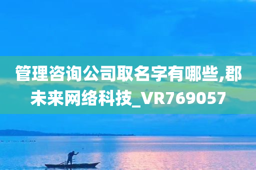 管理咨询公司取名字有哪些,郡未来网络科技_VR769057