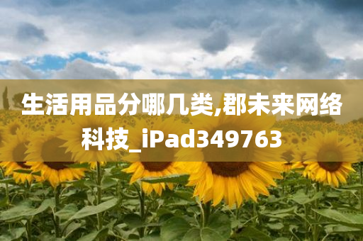 生活用品分哪几类,郡未来网络科技_iPad349763