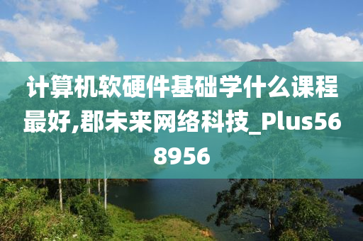 计算机软硬件基础学什么课程最好,郡未来网络科技_Plus568956