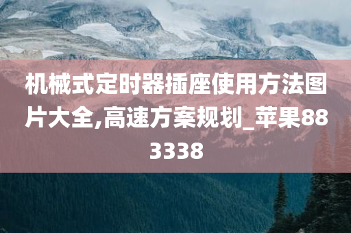 机械式定时器插座使用方法图片大全,高速方案规划_苹果883338