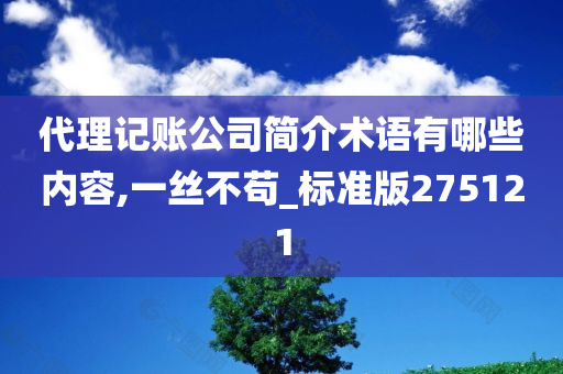 代理记账公司简介术语有哪些内容,一丝不苟_标准版275121