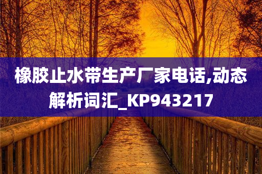 橡胶止水带生产厂家电话,动态解析词汇_KP943217