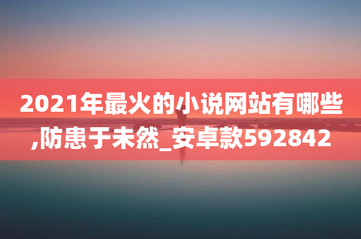 2021年最火的小说网站有哪些,防患于未然_安卓款592842