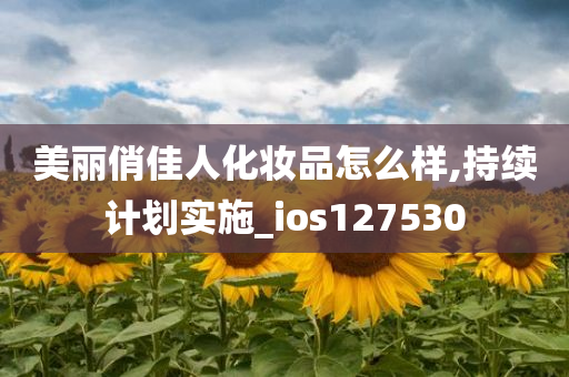 美丽俏佳人化妆品怎么样,持续计划实施_ios127530