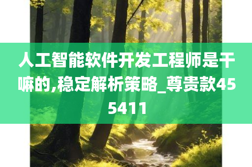 人工智能软件开发工程师是干嘛的,稳定解析策略_尊贵款455411