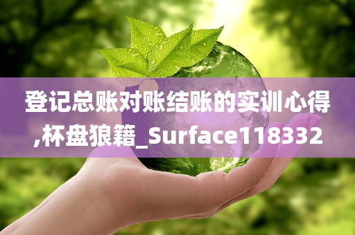 登记总账对账结账的实训心得,杯盘狼籍_Surface118332