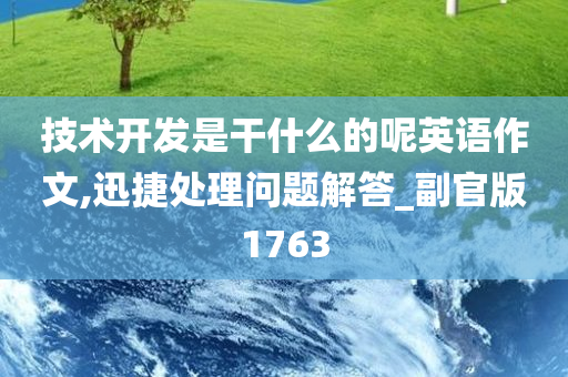 技术开发是干什么的呢英语作文,迅捷处理问题解答_副官版1763