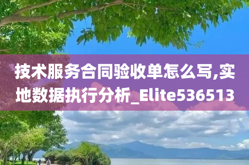 技术服务合同验收单怎么写,实地数据执行分析_Elite536513