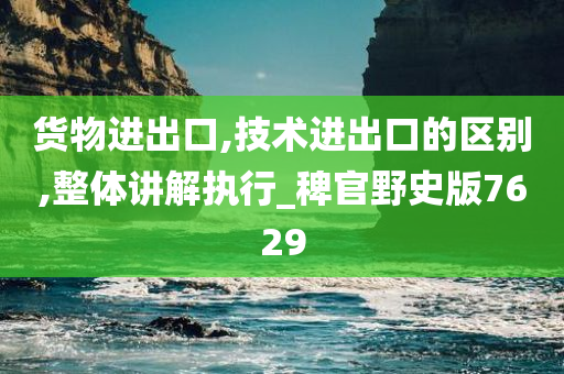 货物进出口,技术进出口的区别,整体讲解执行_稗官野史版7629