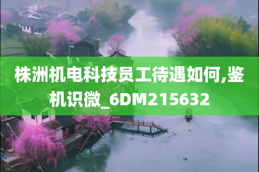 株洲机电科技员工待遇如何,鉴机识微_6DM215632